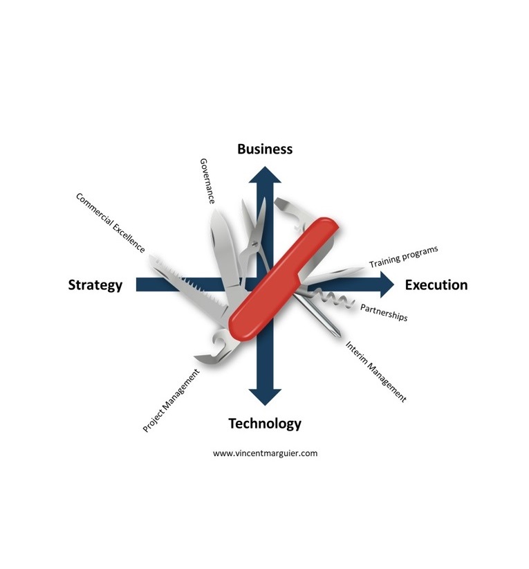 Fractional Expertise - Your Swiss Army Knife for Project Management and Commercial Excellence