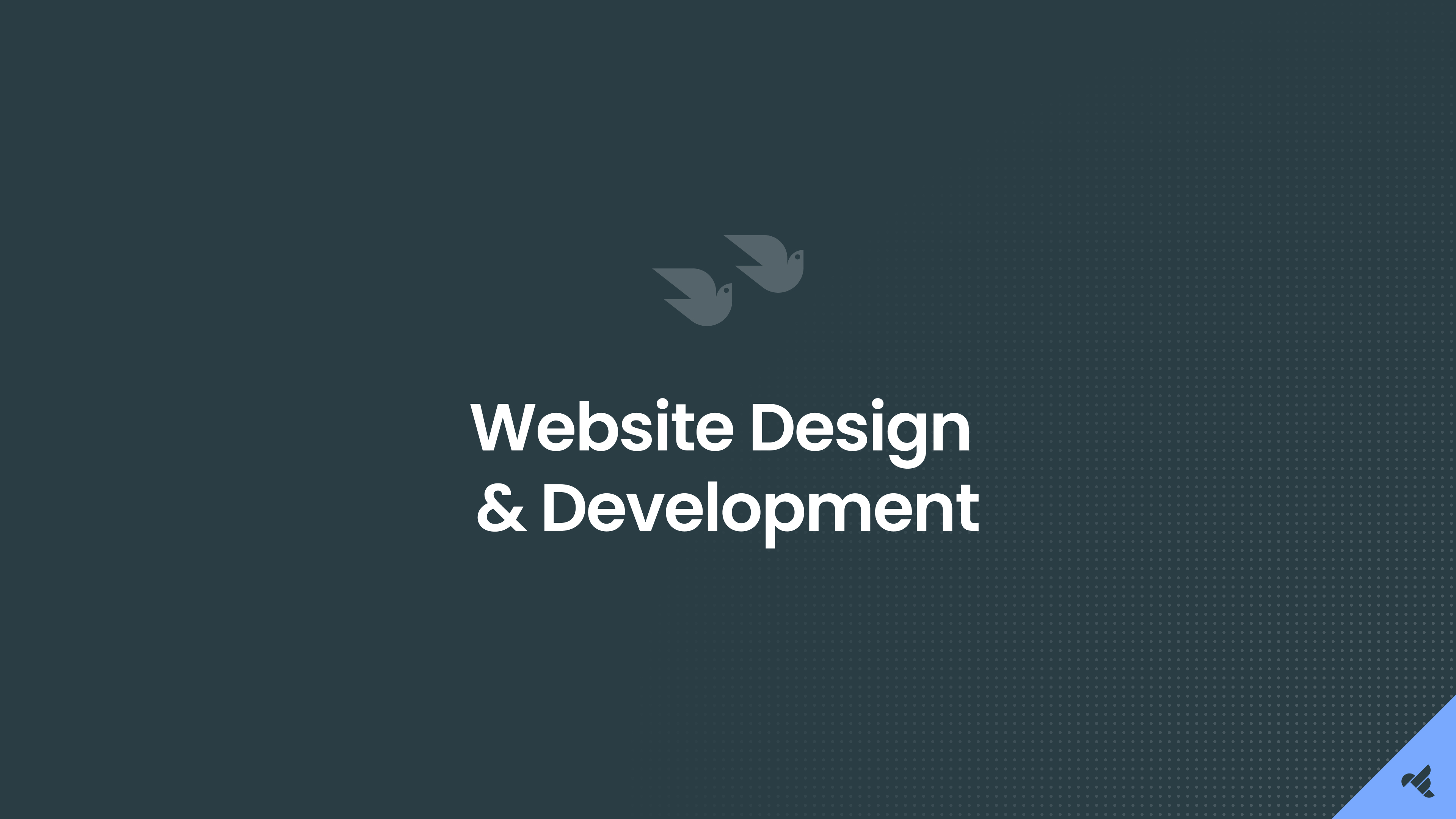 Website Design and Development
